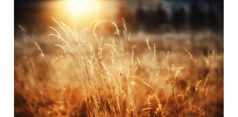 test blog